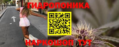 a pvp Кандалакша