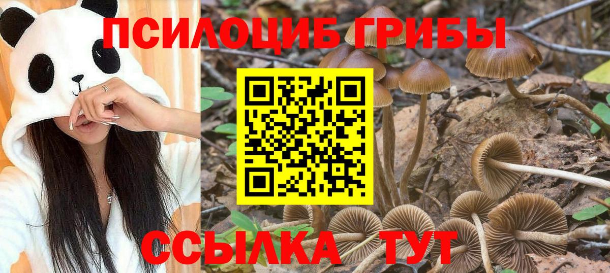 Псилоцибиновые грибы Magic Shrooms Лесозаводск